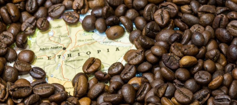 Ethiopian Coffee: A Journey Through Coffee’s Birthplace